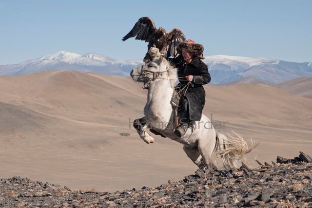 14-mongolian-reindeer.jpg