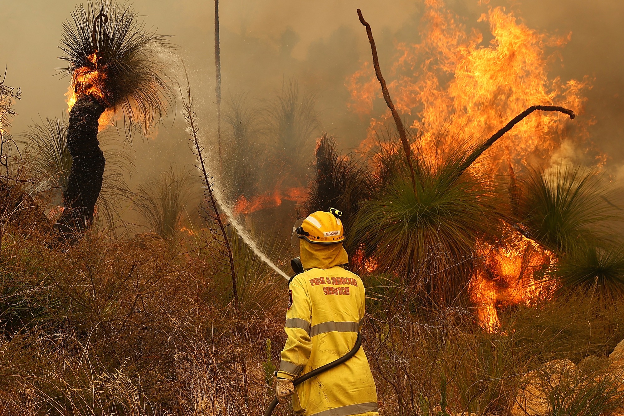 Самое страшное лето. Лесные пожары в Австралии 2019-2020. Лесные пожары в Австралии 2019. Лесные пожары в Австралии 2020. Пожары лесов в Австралии в 2020.