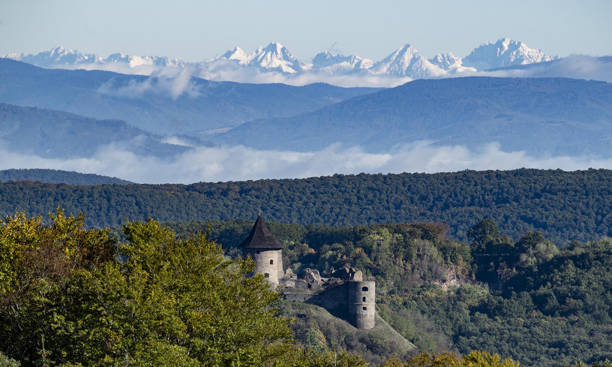 n-gr-db-l-ilyen-fest-i-l-tv-nyt-ny-jt-a-magas-t-tra-player-hu