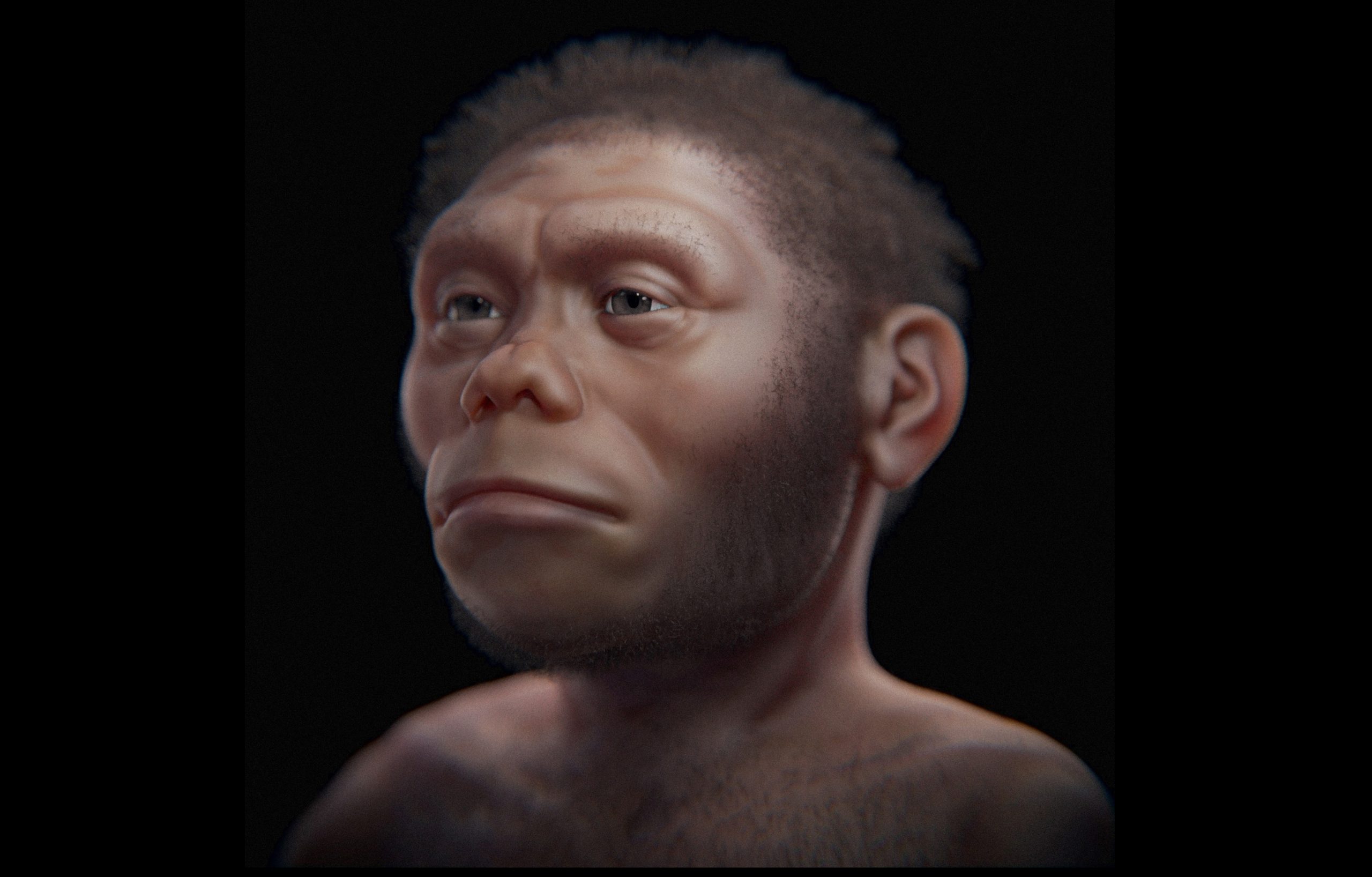 Homo floresiensis