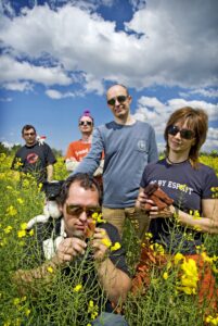 Pál Utcai Fúk - Süllyedünk?