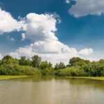 3 Tisza-program, ami tetszeni fog